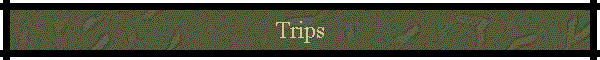 Trips